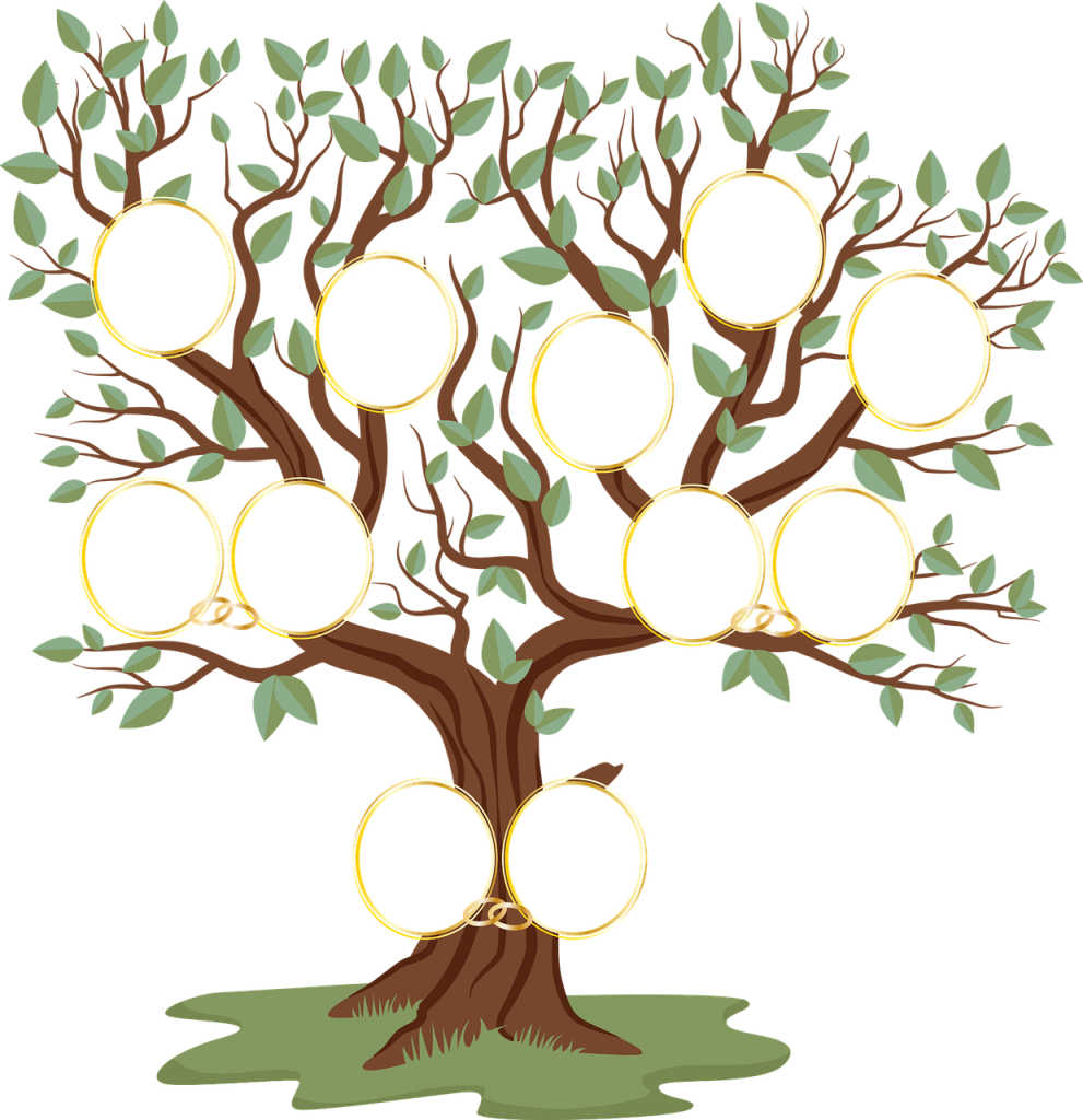 family tree, genealogical tree, genealogical table-6095395.jpg