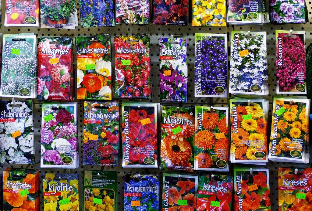 seed, sämerei, samentütem-2810708.jpg