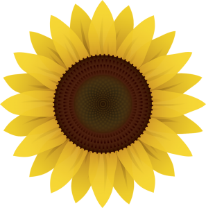 flower, sunflower, plant-1169667.jpg
