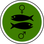 male, female, fish-310839.jpg